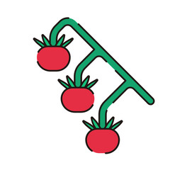 Vegetable Icon. Tomatoes Icon.