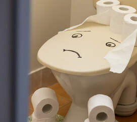 toilet paper rolls on a toilet sit with sad face