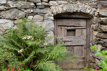 Fototapeta na wymiar Front view of an ancient stone house with massive small wooden door and fern