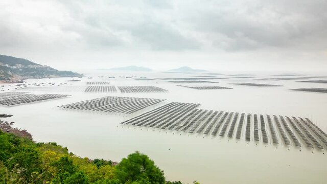 Time lapse of seaweed farms on the coast of Xiapu County in China.