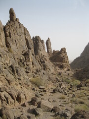 landscape in the desert