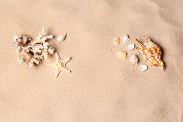 Fototapeta na wymiar Flat lay composition with seashells on sand beach. Summer vacation