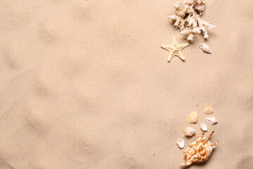 Fototapeta na wymiar Flat lay composition with seashells on sand beach, space for text. Summer vacation