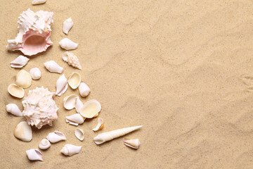 Fototapeta na wymiar Beautiful seashells on beach sand, flat lay with space for text. Summer vacation