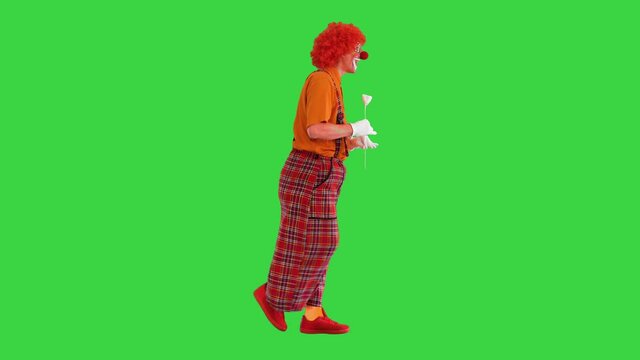 Funny clown holding a paper rose flower and walking on a Green Screen, Chroma Key.