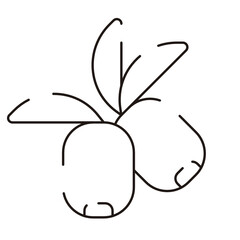 Vegetable Line Icon