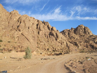 landscape in the desert