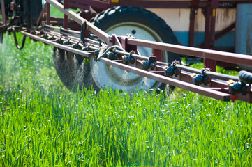 Tractor spraying wheat field with sprayer