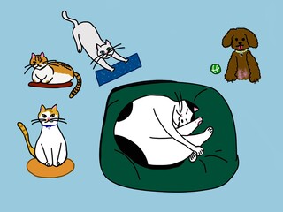 my sweet home animals