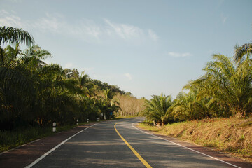 Travel asphalt road landscape