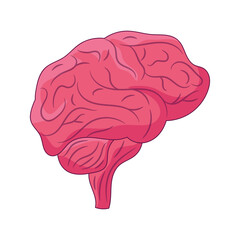 Human Brain Line art vector illustration, colored linear style pictogram 