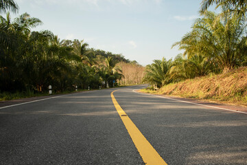 Fototapeta na wymiar Travel asphalt road landscape