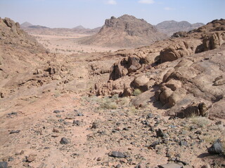 landscape in the desert