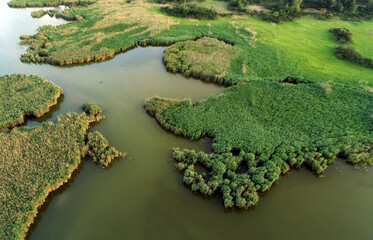 Swampy lake, aerial photography, on a spring day, background image