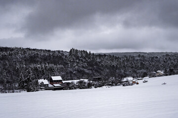 snow covered house