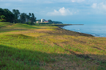 beach and sea on a sunny day in the shade of the pines