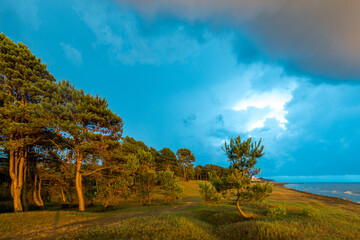 beach and sea on a cloudy day in the shade of the pines landscape