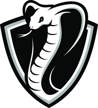 Cobra Snake in the Shield (Shield Shape Logo Design)