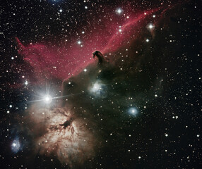 Fototapeta na wymiar The Horsehead and Flame Nebula Region in the Constellation Orion