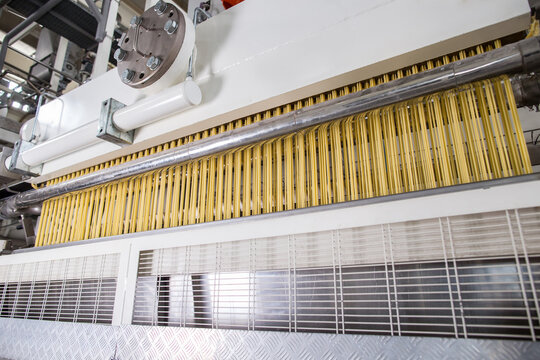 Pasta producing process, various types of pasta on conveyor belt