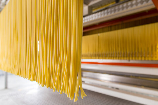 Pasta producing process, various types of pasta on conveyor belt