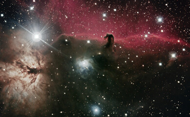 The Horsehead Nebula in the Constellation Orion.