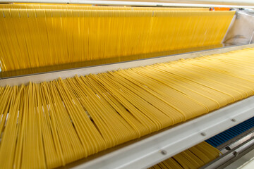 Pasta producing process, various types of pasta on conveyor belt