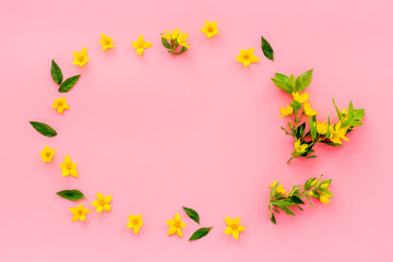 Wild spring flowers top view. Floral frame with space for text