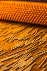 Crunchy bread sticks on conveyor belt at manufacture