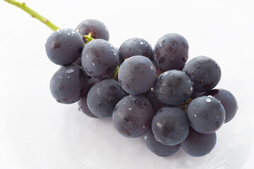 ぶどうイメージ03