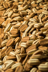 Lots of cookies close up at a factory