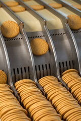 Biscuits on conveyor belt at factory