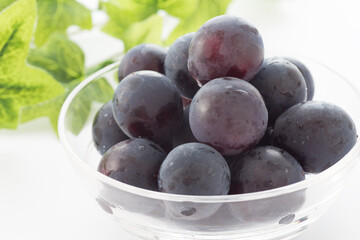 ぶどうイメージ01