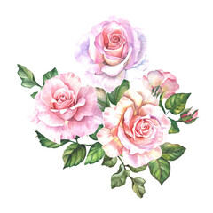 roses bouquet.watercolor flowers