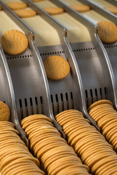 Biscuits on conveyor belt at factory