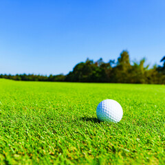 ゴルフ　ボール　golf