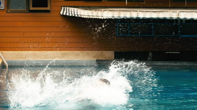 The father with little daughter have fun in the pool. Dad plays with the child. The family enjoy summer vacation in a swimming pool jumping, spinning, splash water. Slow motion.
