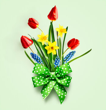 Daffodil, tulip and muscari spring flowers with green bow ribbon
