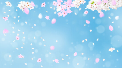 春のイメージ、桜の花と桜吹雪のバックグラウンド