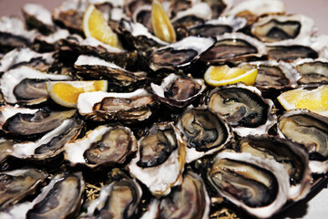 Big plate with fresh oysters and lemon. Ready for eat or serving. Fresh Oyster dinner in restaurant. Gourmet food.