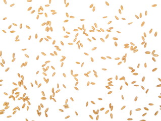 Spelt grain pile isolated on white background, top view