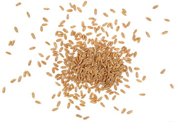 Spelt grain pile isolated on white background, top view