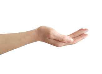 Open female hand palm up isolated on a white background
