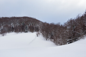 Snowy mountain landscapes, monochrome color, Vercors, France