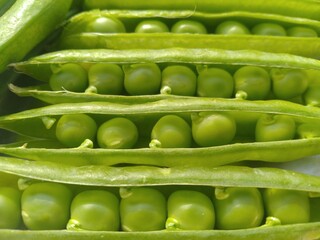 Green Small Peas in the shell