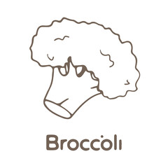 
Hand drawn broccoli isolated on white background, vector illustration in sketch style