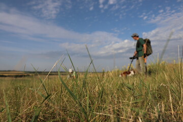 
A man in a green T-shirt and a large backpack is looking for metal with a metal detector in a blooming field with a red dog on a warm day.