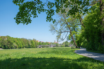 green riparian zone of isar river, recreational area called Isarauen, munich city