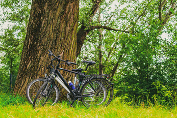 Fototapeta na wymiar two bicycles lean against a tree in a city park. cycling or commuting in city urban environment, ecological transportation concept
