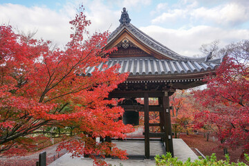 秋の京都　智積院の紅葉
